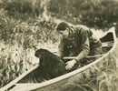 Original title:  Beaver in canoe with Grey Owl. 
