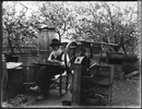 Original title:  Photograph Francis Peabody Sharp saving apple seeds, Woodstock, NB, 1901 Edwin Tappan Adney 1901, 20th century Silver salts on glass - Gelatin dry plate process 16 x 21 cm MP-1979.111.108 © McCord Museum Keywords:  outdoor (47) , Photograph (77678) , portrait (53878)
